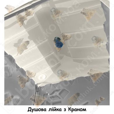 Душова лійка з Краном