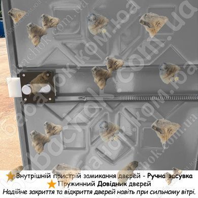 Внутрішня засувка дверей