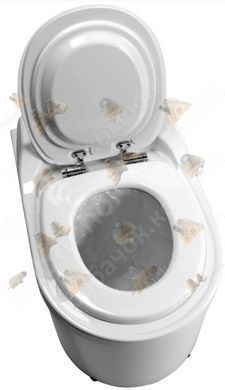 Заморожуючий біотуалет Biolan Icelett (70570000)