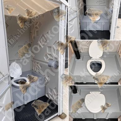 Туалетная кабина Техпром Стандарт с Баком, Серая, 250л (с Писсуаром)