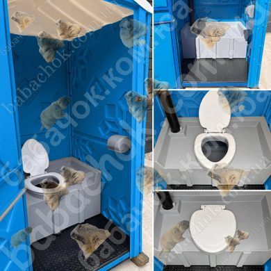 Туалетная кабина Техпром Стандарт с Баком, Синяя, 250л (с Умывальником)
