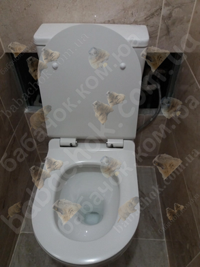 Унитаз-Компакт Koller Pool Round Rimless Soft-Close