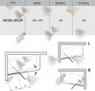 Штора для Ванны Ravak 10CVS2-100 R Transparent (7QRA0U03Z1)