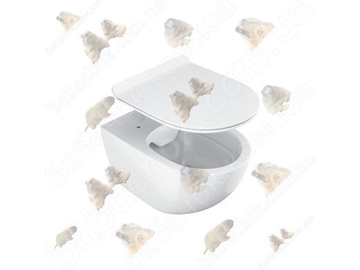 Подвесной Унитаз Ravak Vita RimOff (X01860)