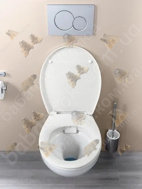 Подвесной Унитаз Kolo Rekord Rimfree (K99033000)