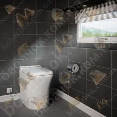 Cпалюючий біотуалет Cinderella Comfort (EM01CS02) в інтер'єрі