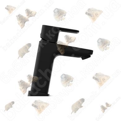 Смеситель для Раковины Ravak 10&deg; Free Black (X070150)