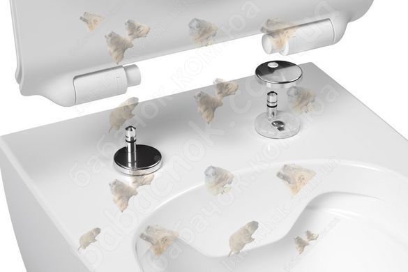 Сиденье для Унитаза Ravak Vita Slim SoftClose (X01861)