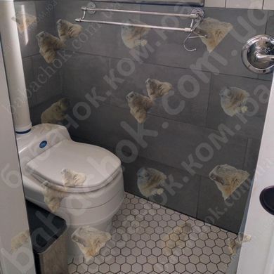 Біотуалет Separett Villa в інтер'єрі