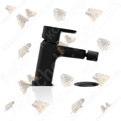 Змішувач для Біде Ravak 10&deg; Free Black (X070155)