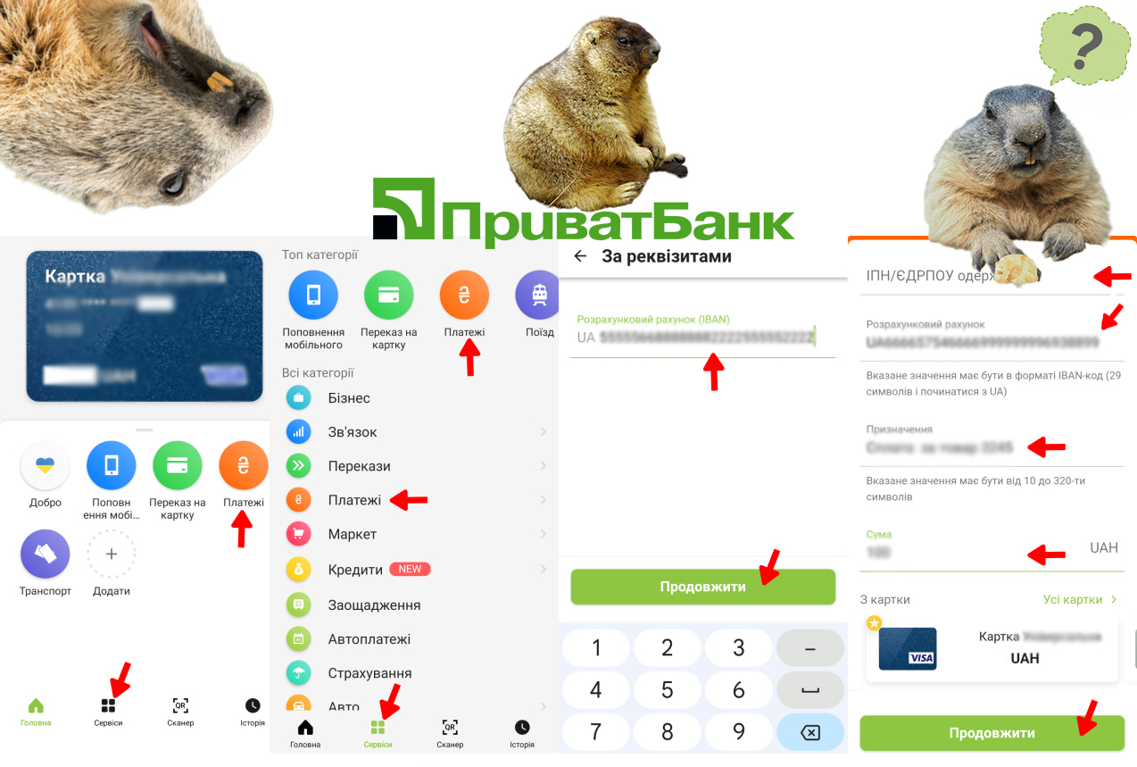 Пошаговая инструкция оплаты по реквизитам IBAN в ПриватБанке