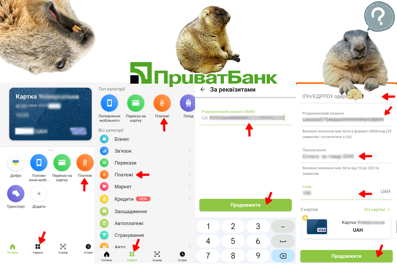 Покрокова інструкція оплати по реквізитах IBAN у ПриватБанку